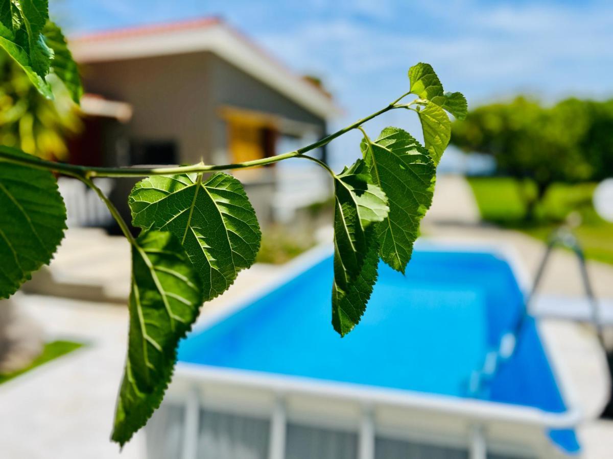 Gazonia Family Estate Hotel Skala  Kültér fotó